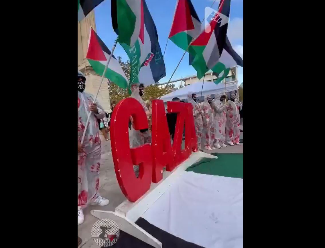 Video: Pro-Palestine activists gathered in Marseille, France, demanding an end to Israeli genocide in Gaza