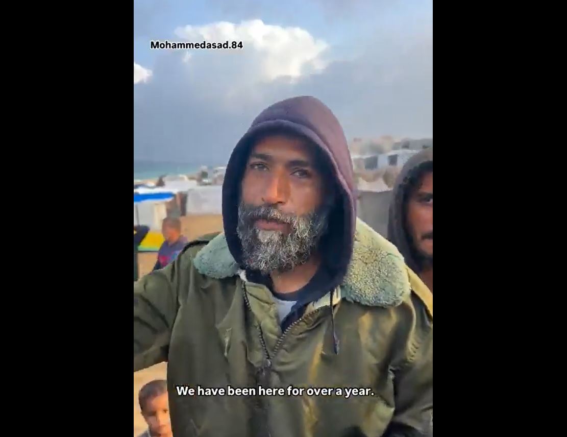 Displaced Palestinians: "We want a dignified life, We are not numbers"