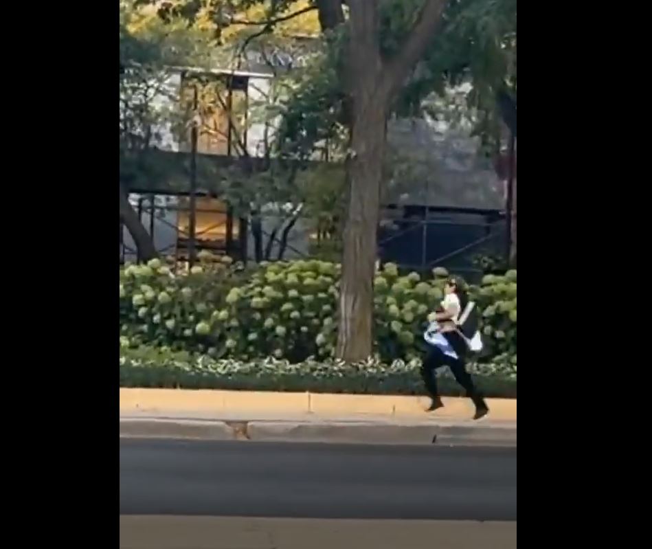 Video: A Palestine supporter snatching genocide flag and throwing it in garbage in Chicago, Illinois