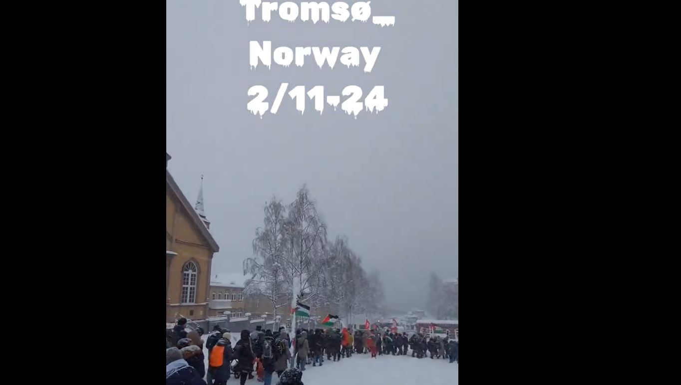 Video: Dozens protest in Tromso, Norway in solidarity with Palestine and Lebanon in snowy weather
