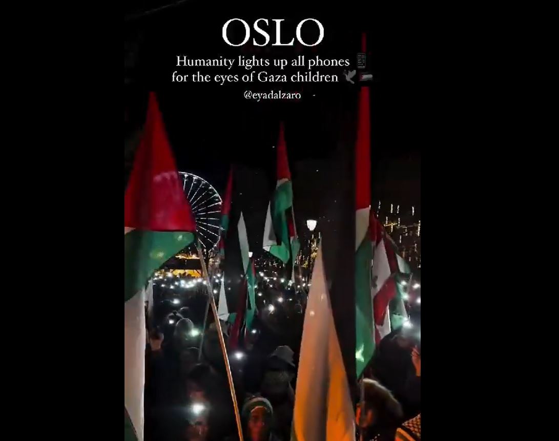 Video: Protestors in Oslo, Norway honor Palestinian children martyred in Gaza by Israeli barbaric regime 