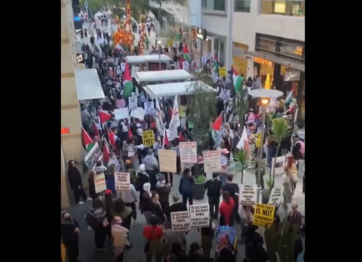 Video: Intl Day of solidarity with Palestinian people in Los Angeles 