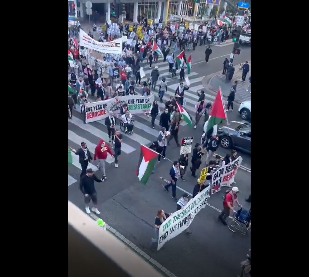 Video: Los Angeles stands with Palestine!