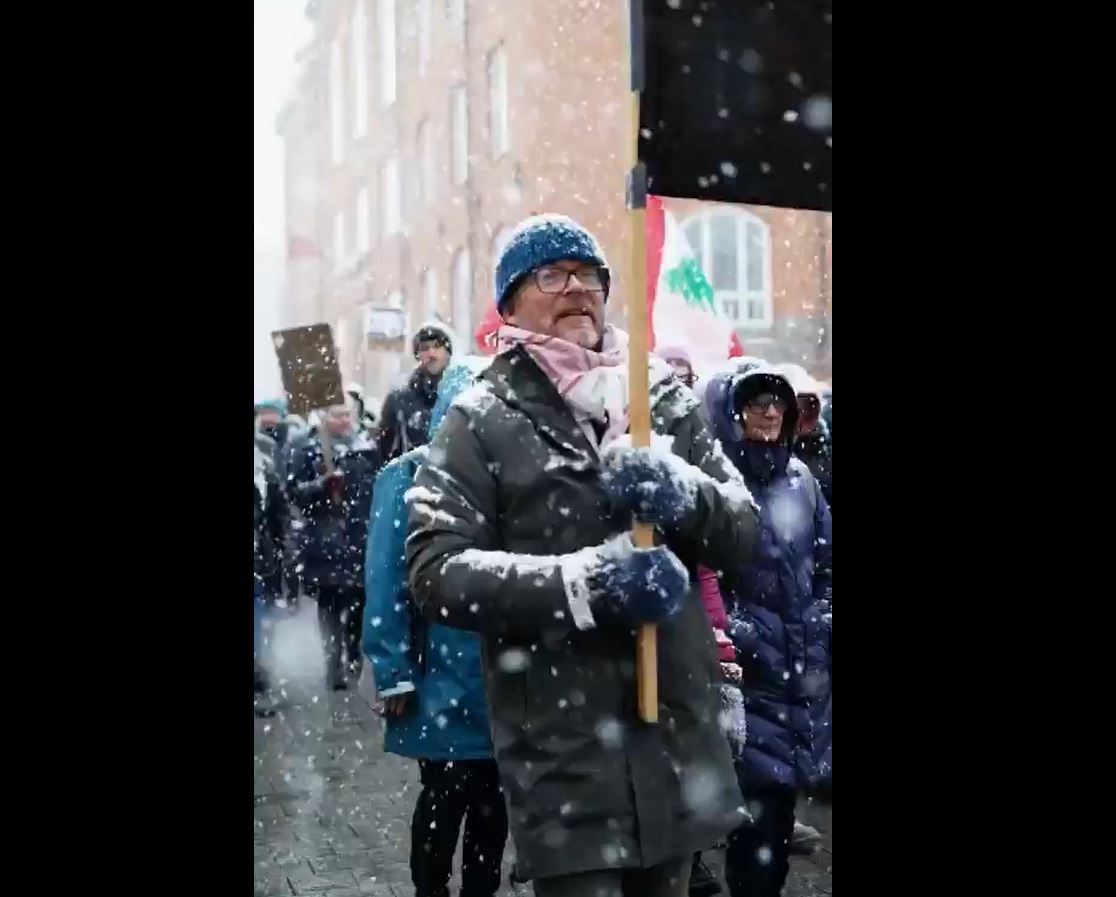 Video: Protest in solidarity with Palestine and Lebanon in Tromsø, Norway despite heavy snow 