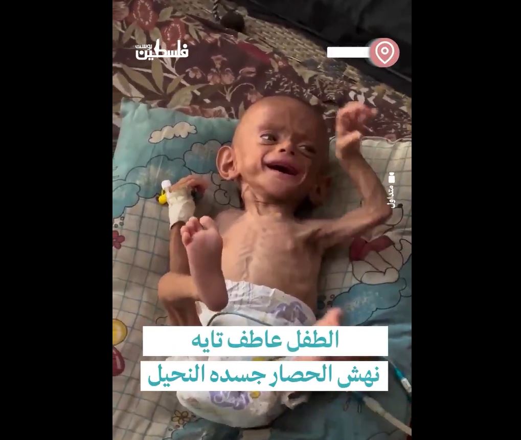Video: Gaza is starving