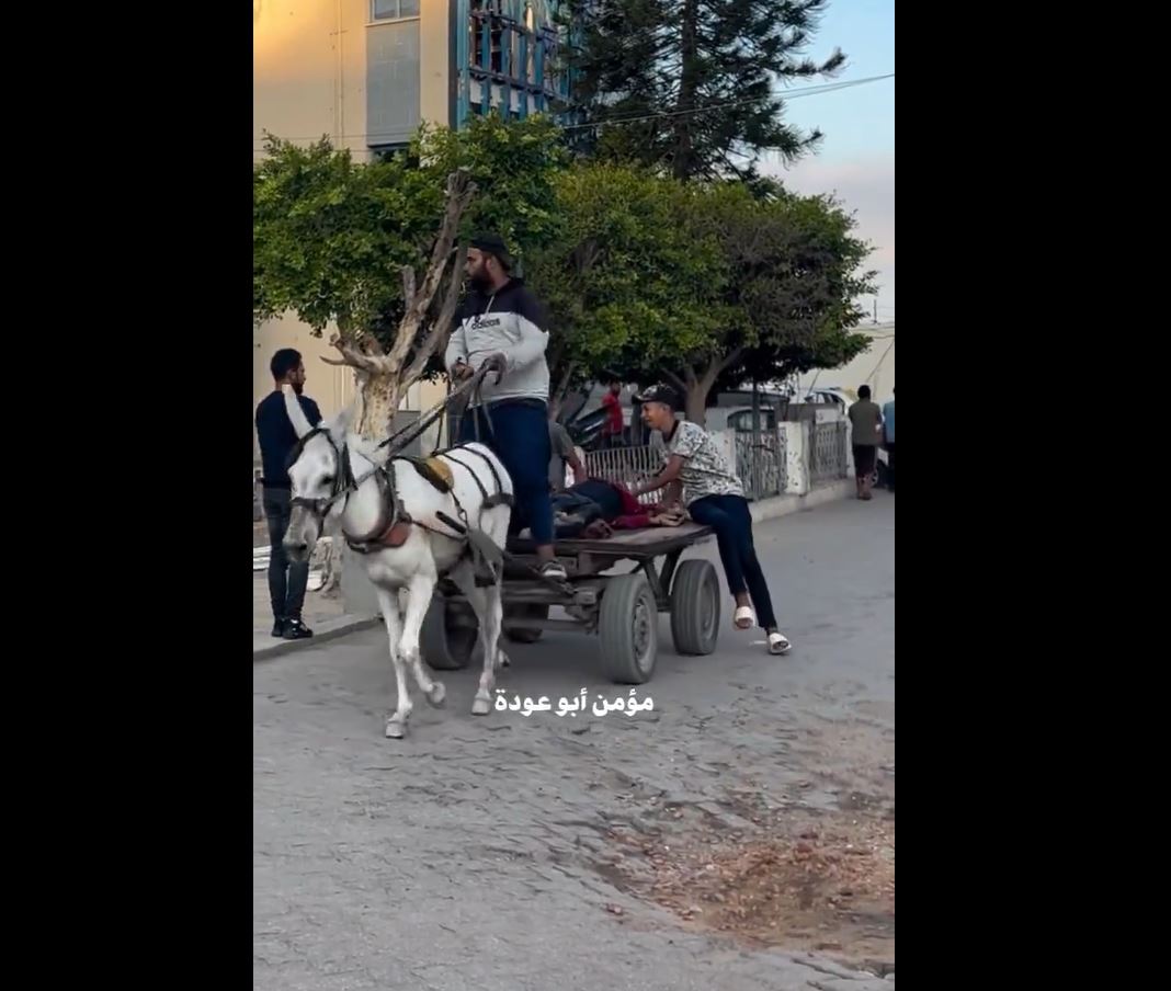 Video: People in northern Gaza transporting injured and deceased on carts 
