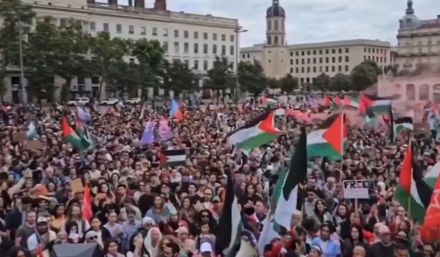 Video: Thousands protest in France in solidarity with Palestine