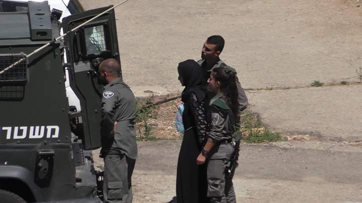 Israeli occupation forces kidnaps Palestinian pregnant woman from home in al-Khalil