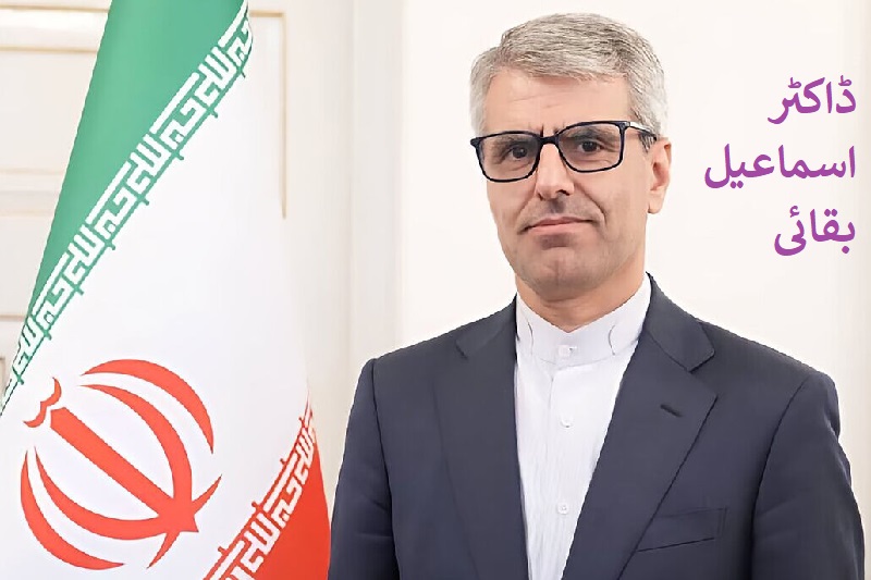 ایران کے خلاف نئی امریکی پابندیاں قانون شکن باغی ریاست کو بھتہ دینے کے مترادف ہے، ڈاکٹر بقائی