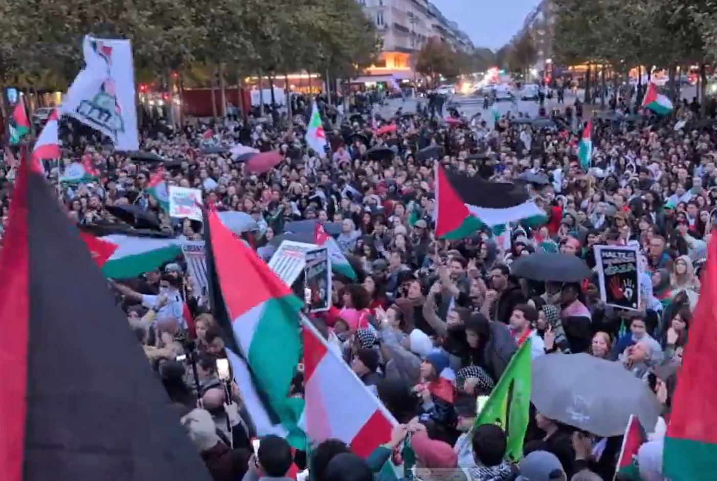 Video: Massive pro-Palestine rally in Paris, France