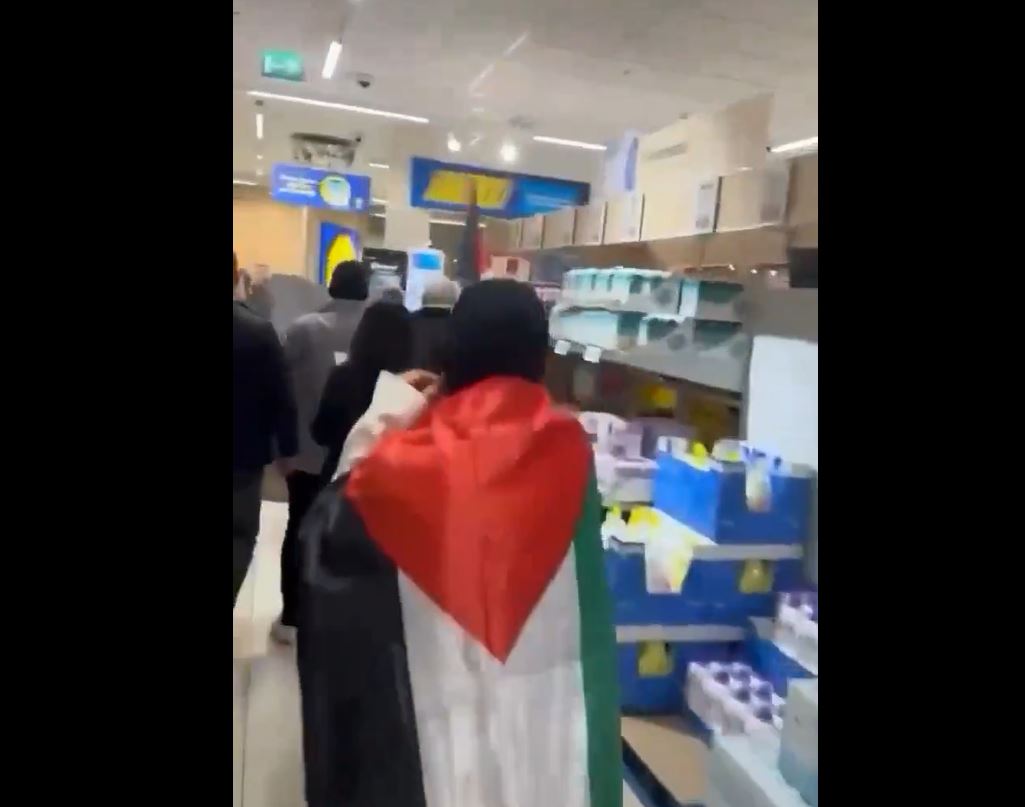 Video: Activists in Gothenburg, Sweden, held a rally at Lidl against its complicity in Israeli genocide in Gaza