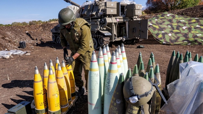  Amnesty International calls for preventing ammunition from reaching Israel