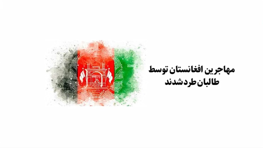 ویدیو | مهاجرین افغانستان توسط طالبان طرد شدند 