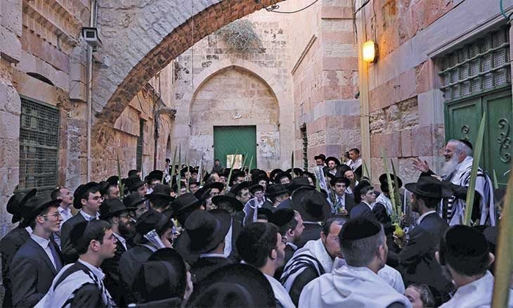 فیديو | المستوطنون يؤدون طقوساً تلمودية في باب القطانين أحد أبواب المسجد الأقصى  