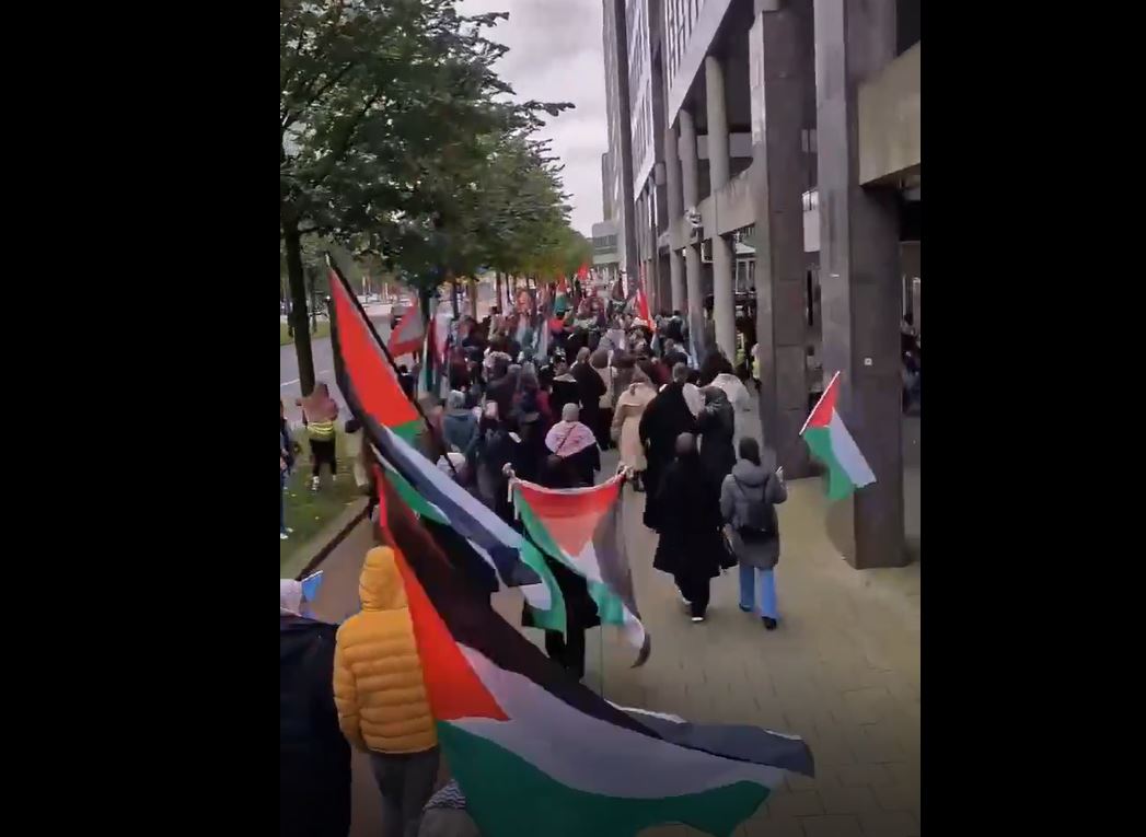 Video: Massive demonstration in Rotterdam, Netherlands, in solidarity with Palestinians and Lebanon 