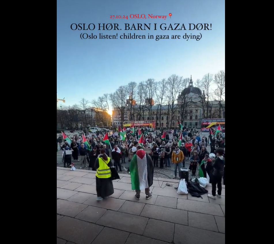 Video: Activists marched in Oslo, Norway, to support Palestinians and denounce Israeli atrocities in Gaza
