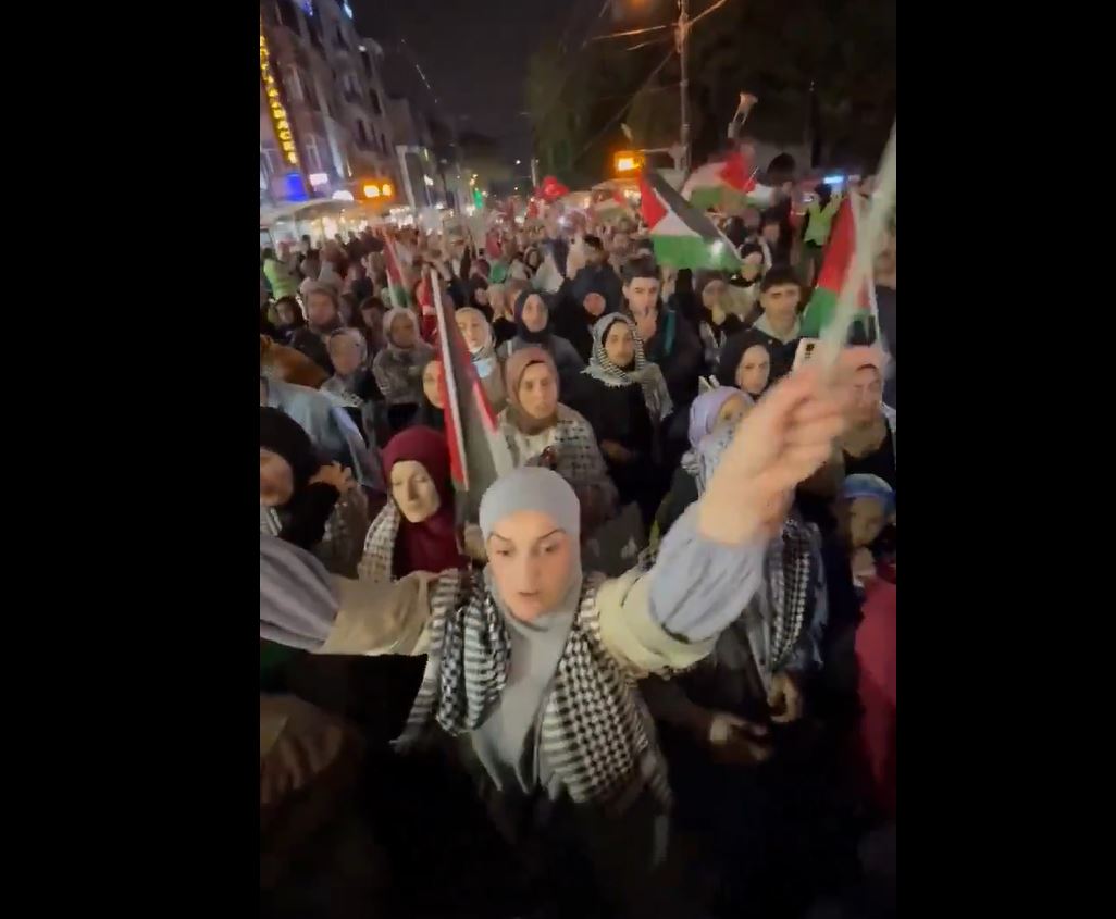 Video: Protest rallying in Istanbul, Turkey for Palestine and Lebanon against Israeli aggression