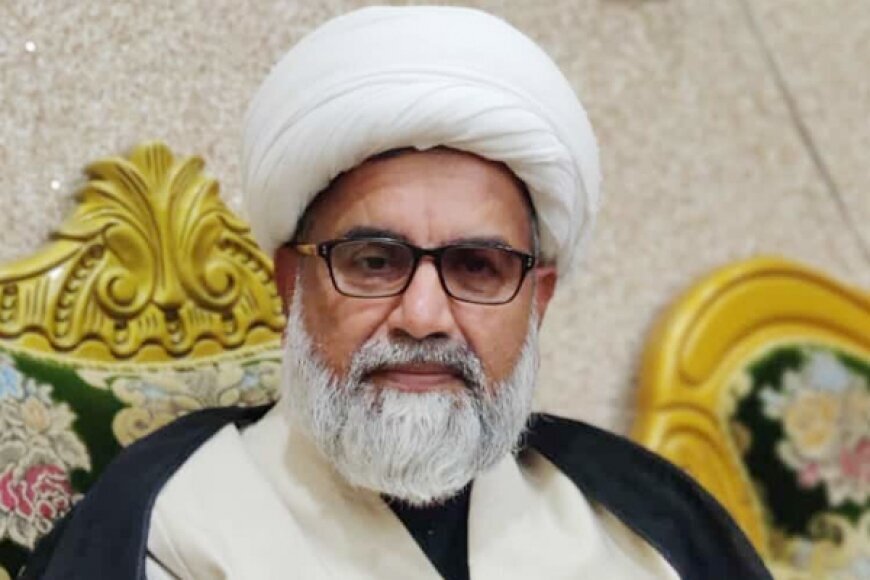 Hezbollah fighting for security, stability of entire region: Pakistani senator