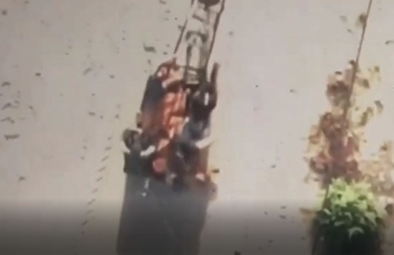 Video: An Israeli drone targeting five Palestinians distributing aid on a donkey cart in Deir al-Balah, Gaza