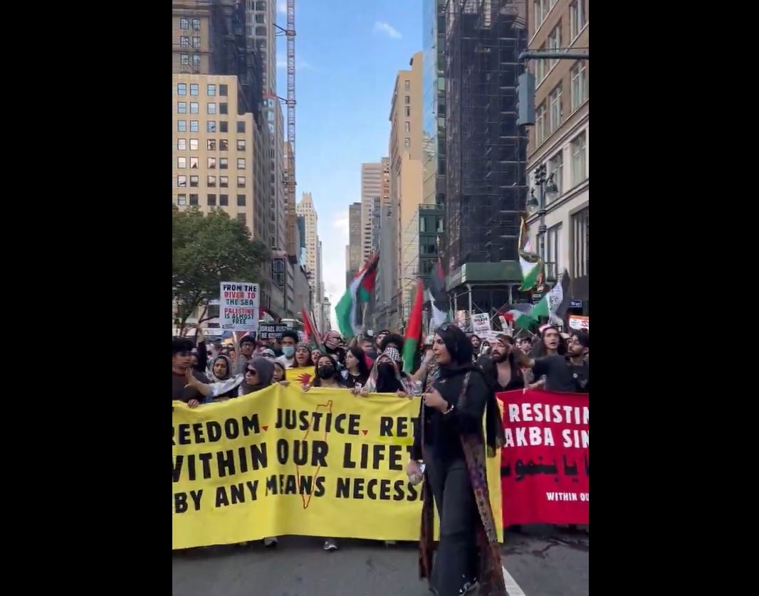 Video: U.S. cities see more public action in solidarity with Palestinian people