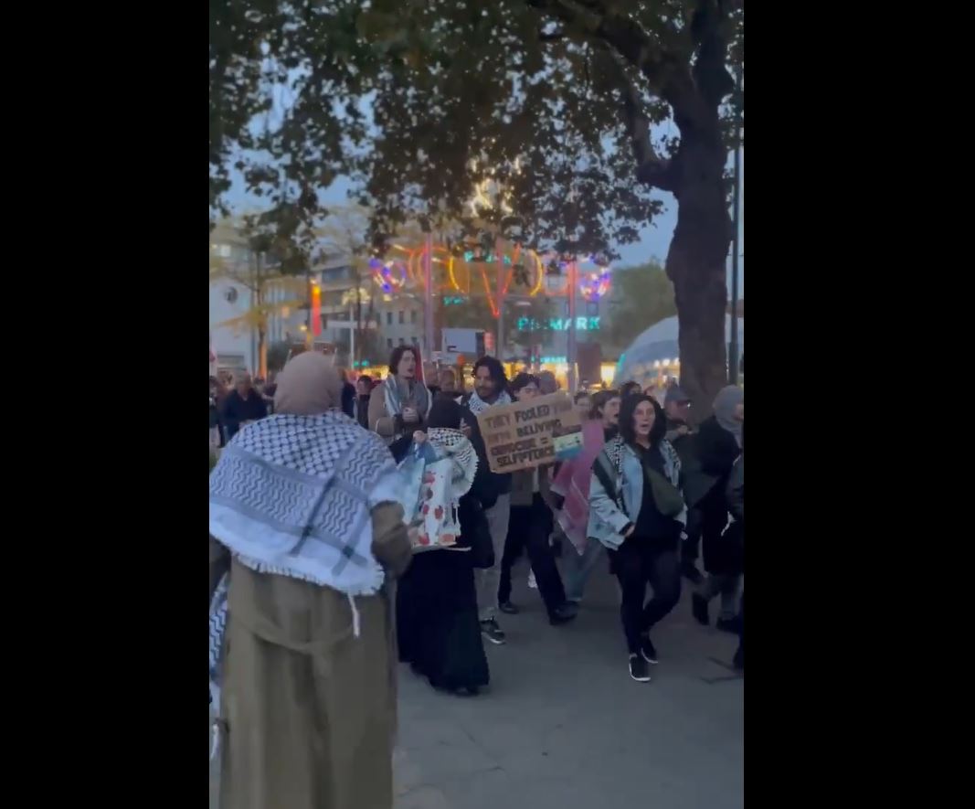Video: Dozens protests in Zwolle, Netherlands, demanding ceasefire, end to ongoing Israeli genocide in Gaza