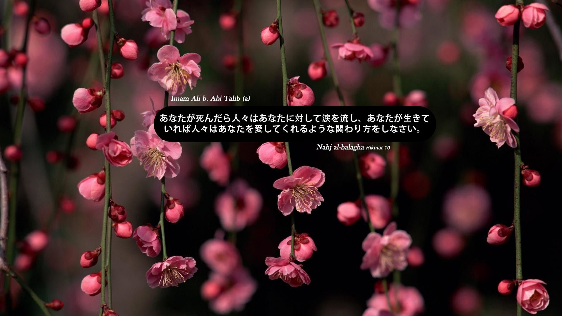 人々はあなたを愛してくれるような関わり方をしなさい