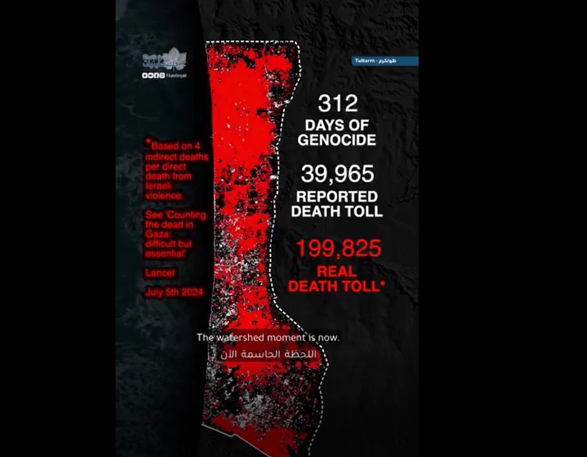Video: Israel's genocide in Gaza has been going on for 325 days