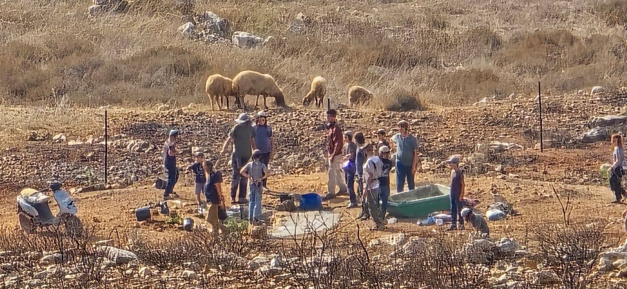 Extremist Israeli settlers destroy agricultural nursery in Nablus, bulldoze 60 dunums in Ramallah