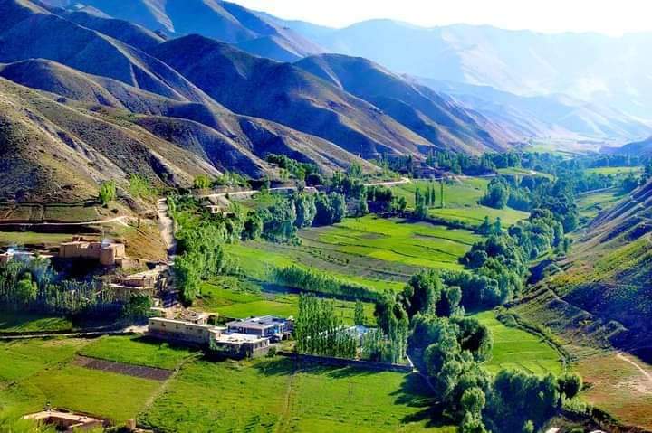 بسبب زيارة كربلاء المقدسة..داعش التكفيري يقتل ويصيب 21 شيعيا افغانيا بأفغانستان