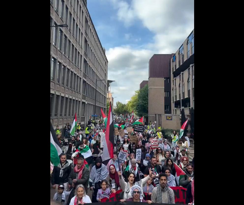 Video: Pro-Palestine activists march in solidarity with Palestine in Rotterdam, Netherlands 