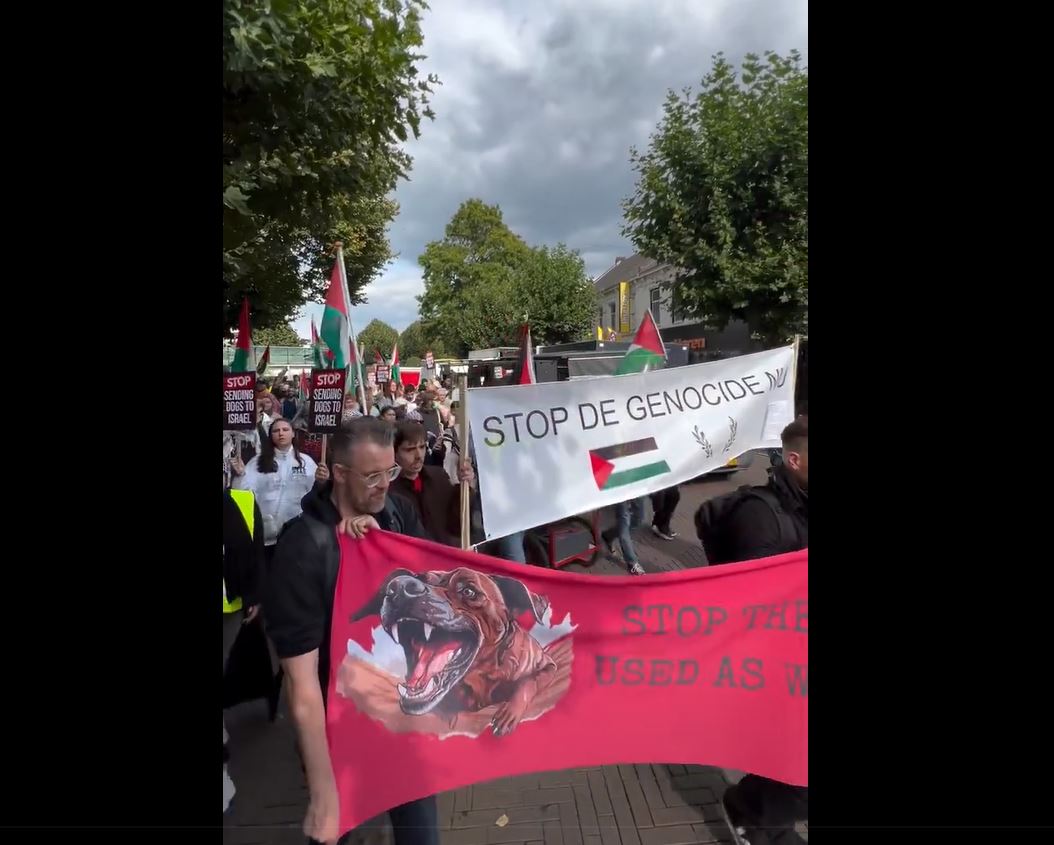 Video: Demonstration in Oss, Netherlands against export of dogs to Israeli use as weapon to attack Palestinians