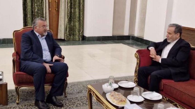 Araghchi: Kuunga mkono muqawama dhidi ya Israel ni 'sera ya kimsingi' ya Iran