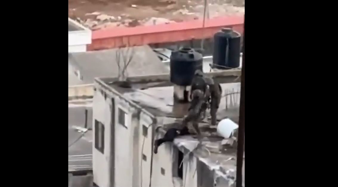 Video: Israeli soldiers throwing a blindfolded Palestinian from a roof like ISIS terrorists 