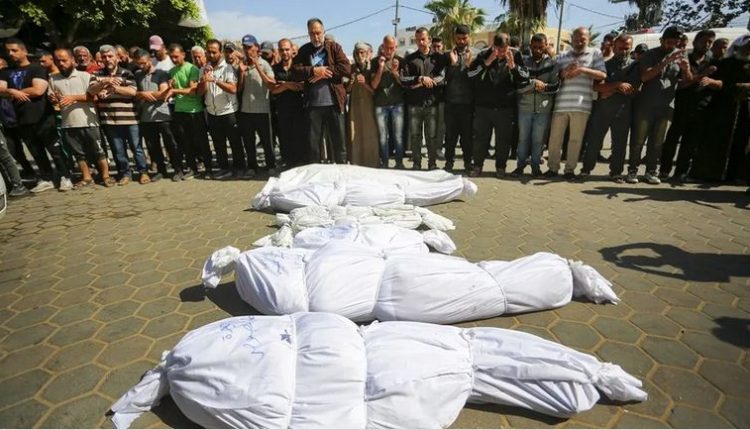 Death toll from Israeli genocide in Gaza rises to 41,391
