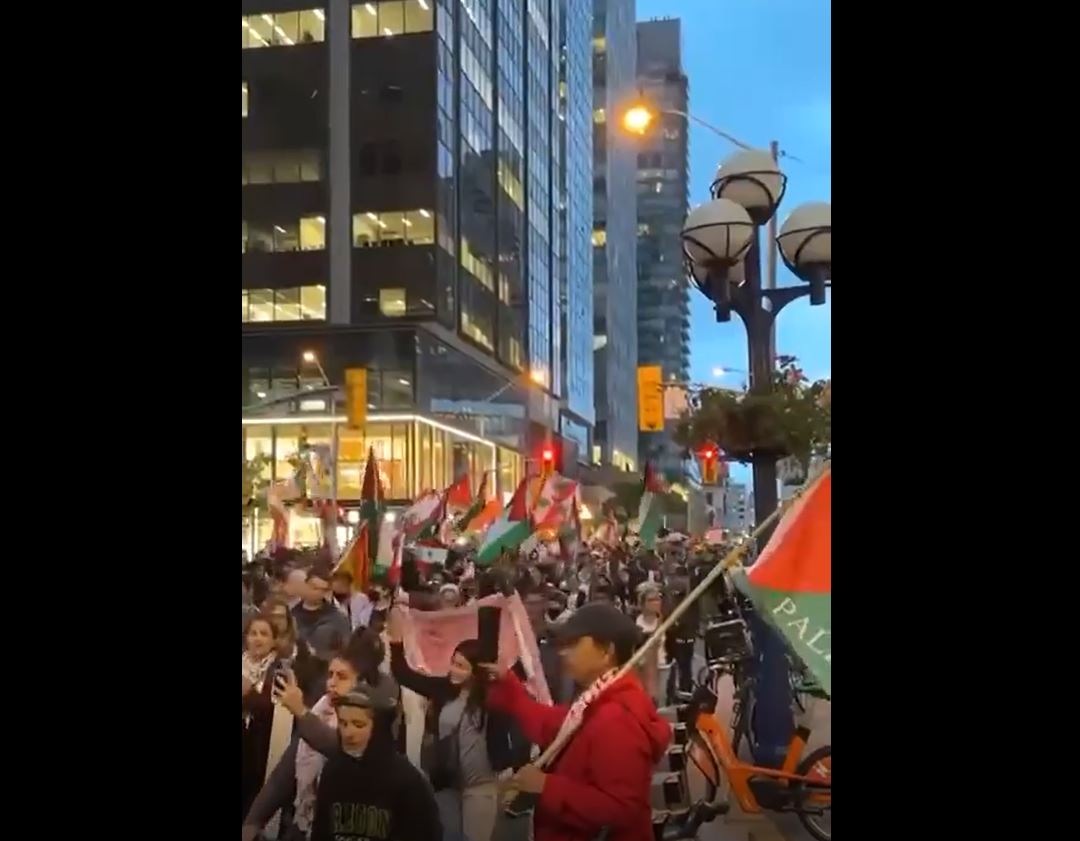 A demonstration in Toronto, Canada, in solidarity with Palestine and Lebanon / Video