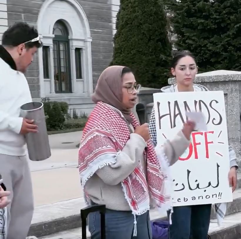 Rally in NY to support Palestine and Lebanon, calling for an end to Israeli occupation / Video