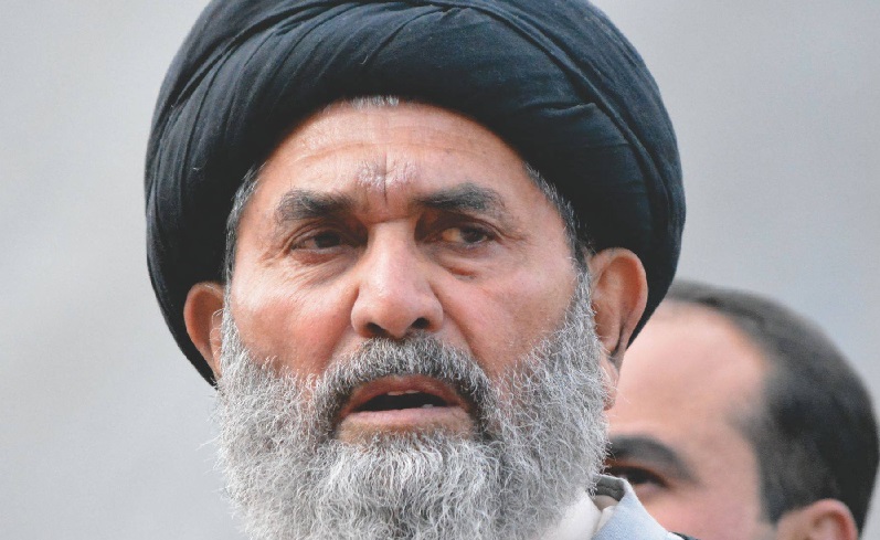 Senior Pakistani Shia cleric: Sayyed Nasrallah's martyrdom accelerates Palestine cause