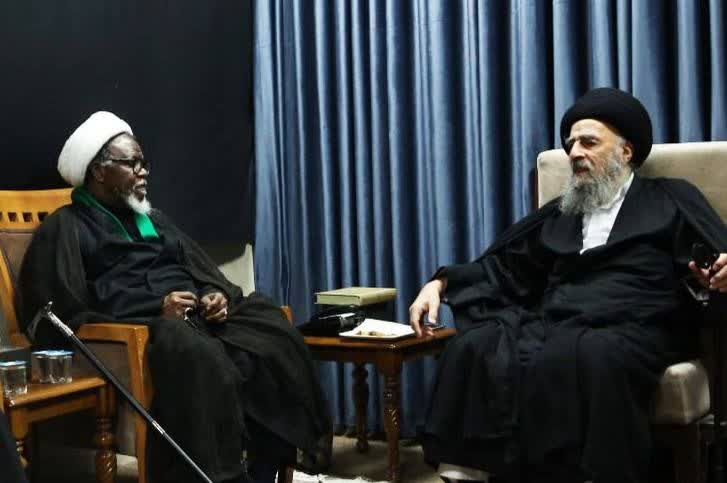 تأکید آیت‌الله مدرسی بر تأسیس گسترده مدارس علوم دینی در نیجریه