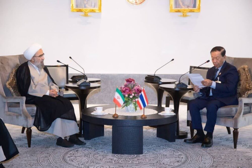  آیت الله مروی: حمایت مردم تایلند از مردم غزه مایه مسرت است