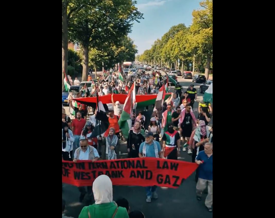 Video: Demonstrators in Den Haag, Netherlands called for an end to Israeli occupation of Palestine