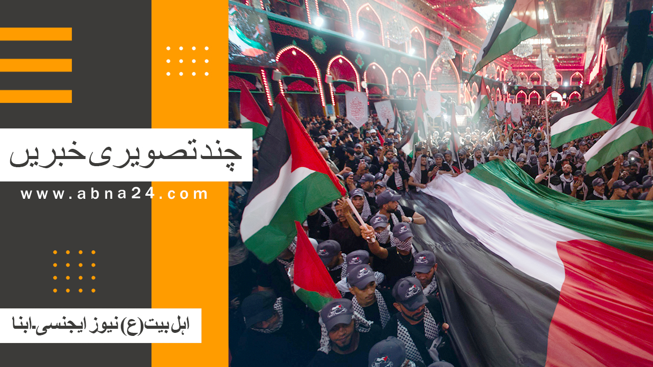 ویڈیو | ابنا کی چند تصویری خبریں