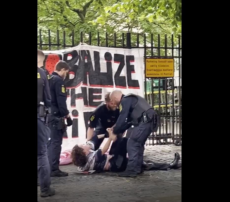 Video: Danish police violently remove pro-Palestine students sit-in at Copenhagen University