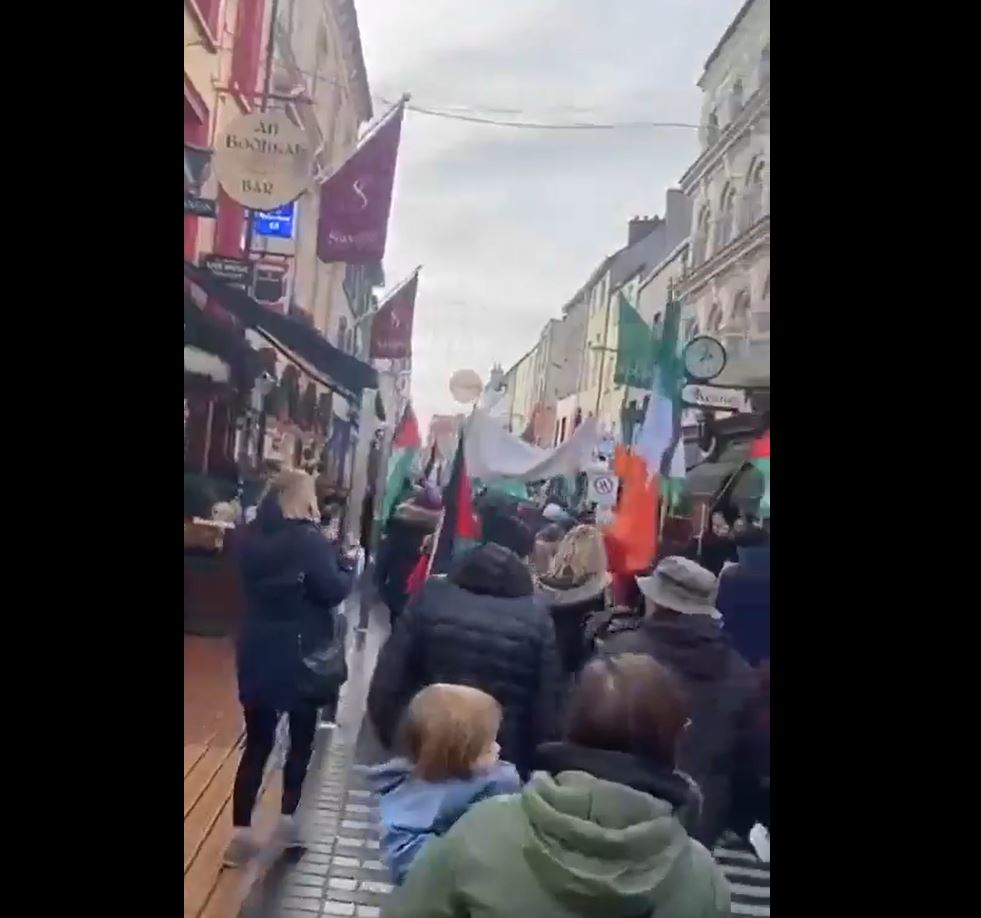 Video: Activists in Cork, Ireland protest to end genocidal war in Gaza