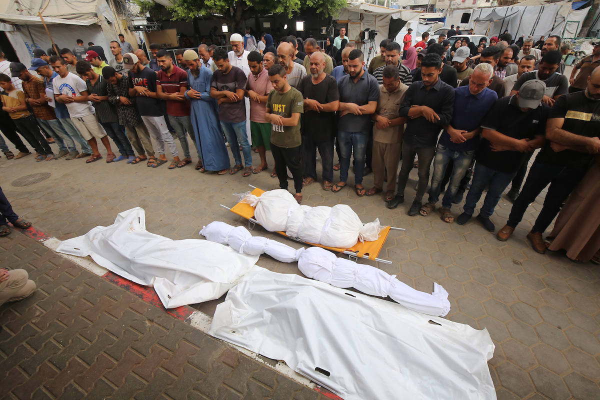 62 Palestinian martyrs in the Israeli genocide on Gaza in the past 24 hours