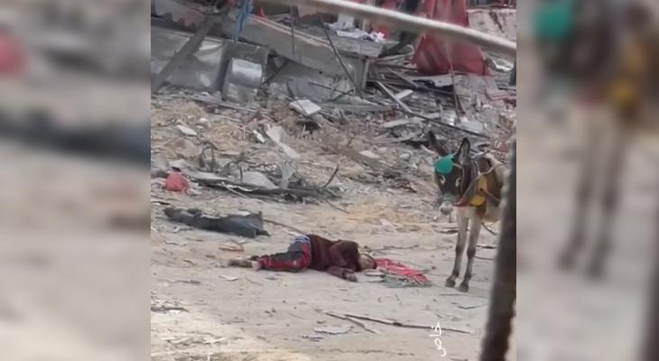 Despite ceasefire, Palestinian child martyred by Israeli sniper fire