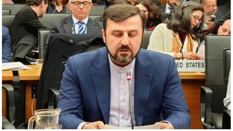 Гариб-Абади: Страны, заявляющие о соблюдении прав человека, нарушают права иранского народа