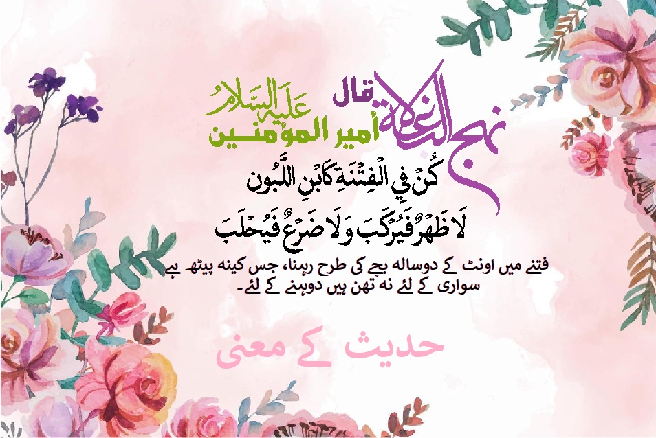 کلام امیرؑ "فتنوں میں اونٹ کے دوسالہ بچے کی طرح رہو" کا کیا مطلب؟