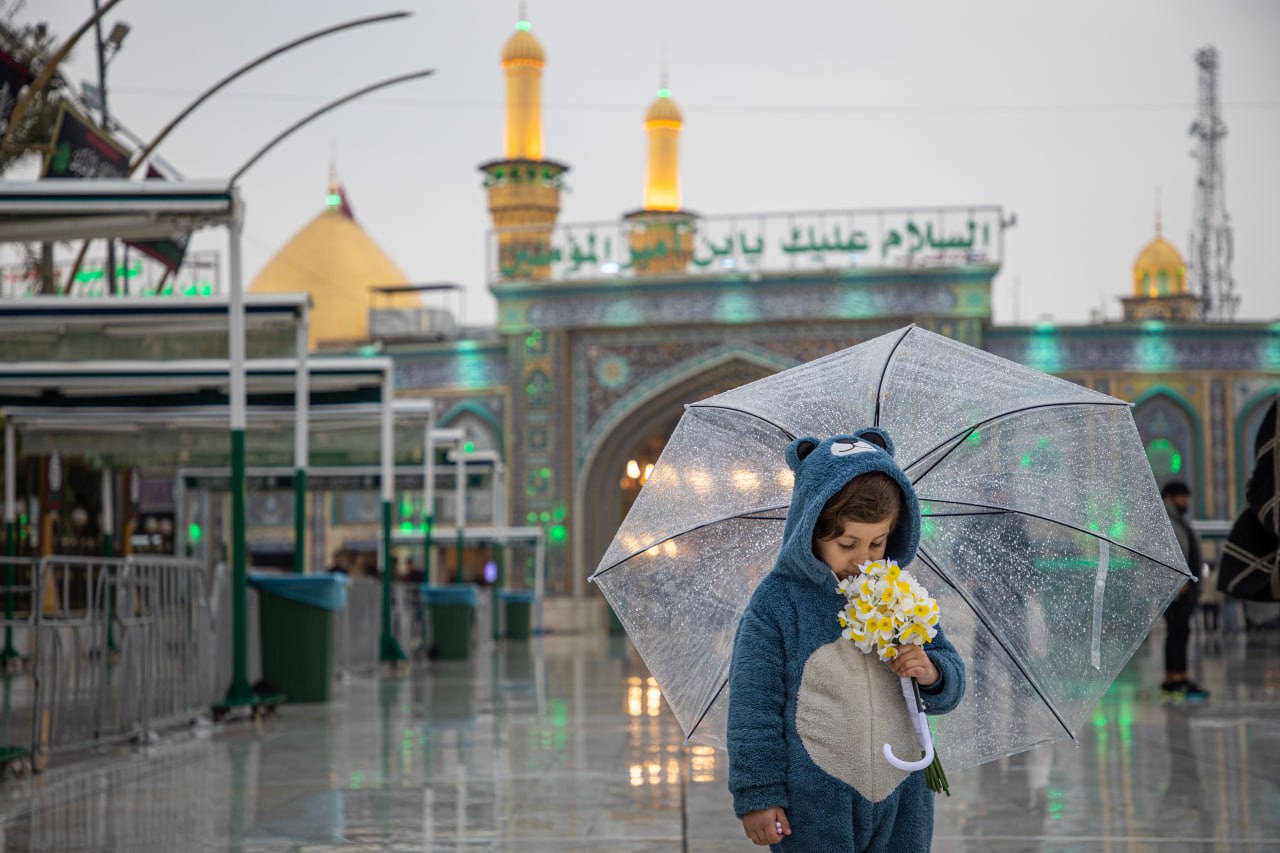 Photos / Video: Rainy weather in Bayn al-Haramayn - Karbala (7th Jan 2025)