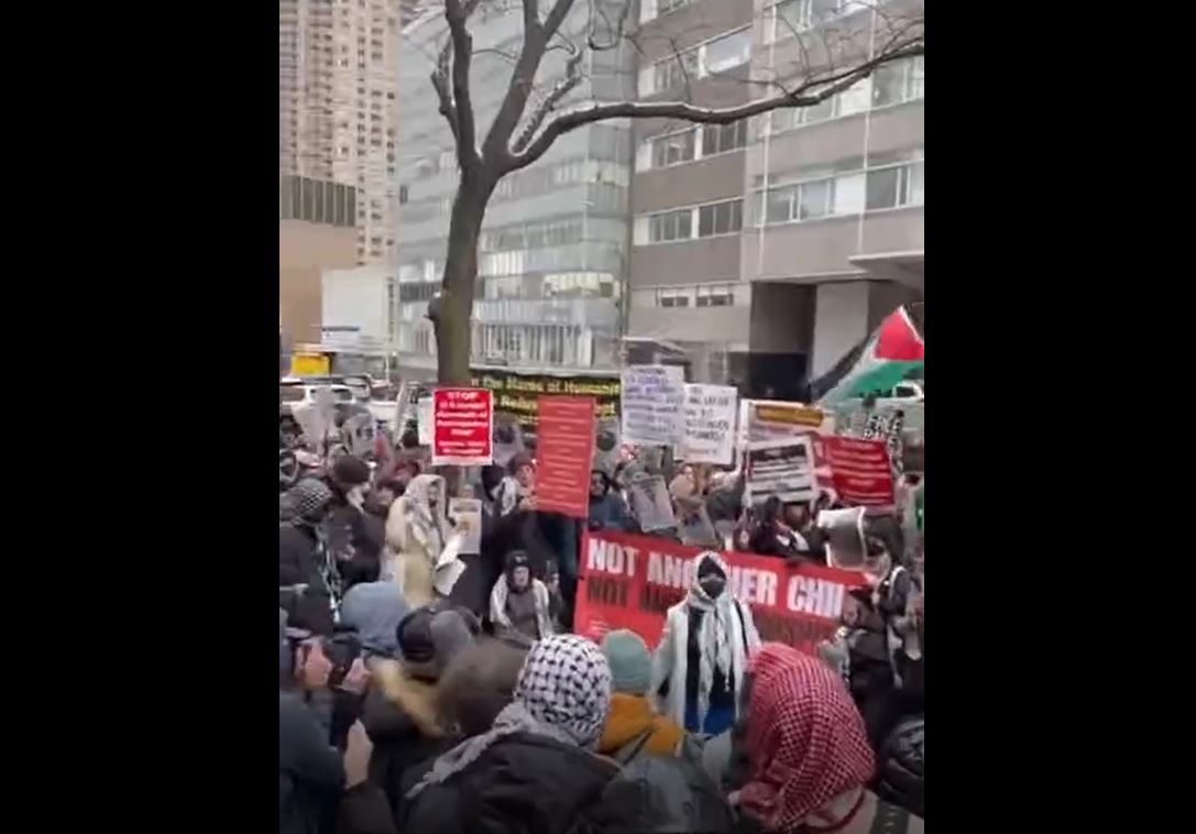 Video: Activists and medical staff demonstrate in Manhattan, demanding release of Dr. Abu Safiya