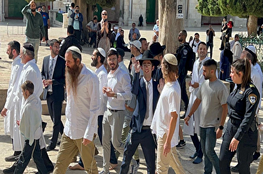 Profanación del Corán en Palestina: fuerte condena de Al-Azhar
